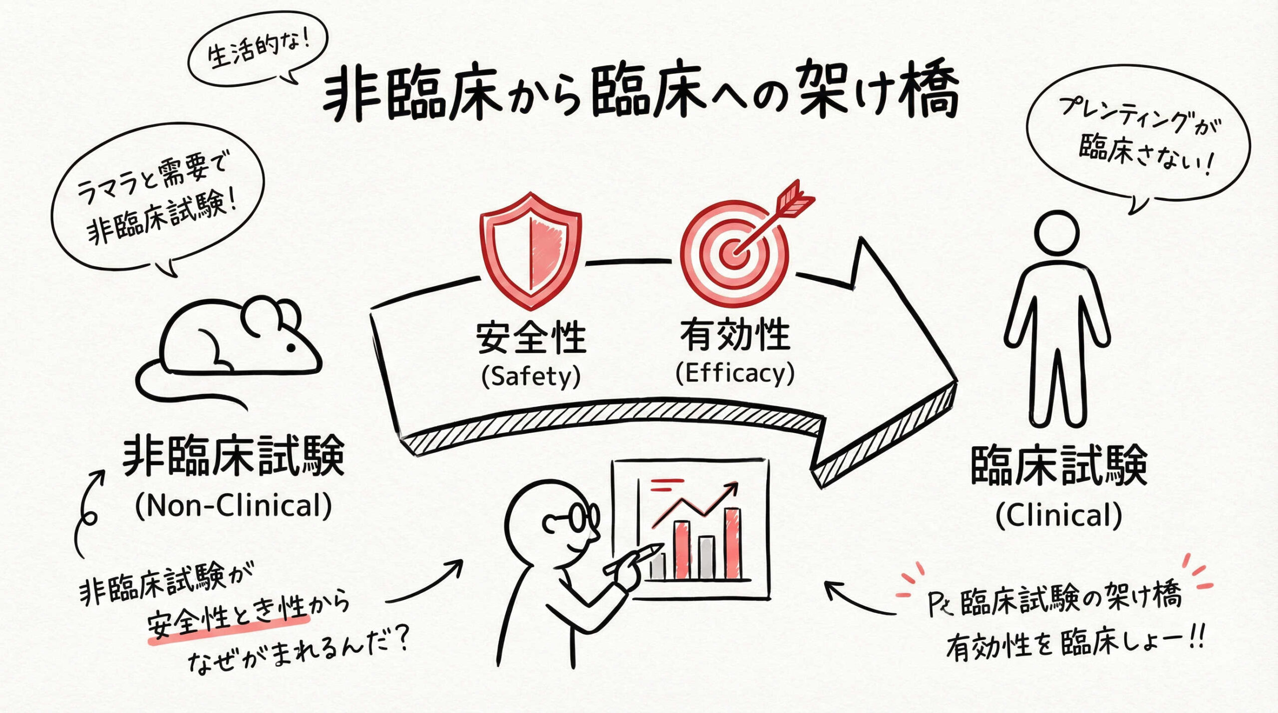 【非臨床・臨床】安全性・有効性評価における詳細チェックポイント